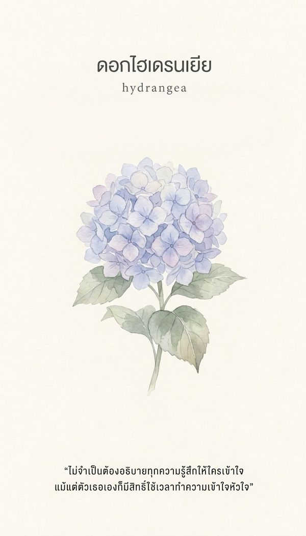 ไพ่ออราเคิล ดอกไฮเดรนเยีย Hydrangea ข้อความ: ไม่จำเป็นต้องอธิบายทุกความรู้สึกให้ใครเข้าใจ แม้แต่ตัวเธอเองก็มีสิทธิ์ใช้เวลาทำความเข้าใจหัวใจ